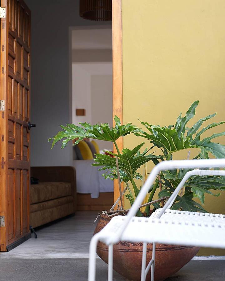 Casa Cafeologo Hotel San Cristobal de las Casas Ngoại thất bức ảnh