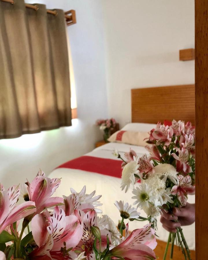 Casa Cafeologo Hotel San Cristobal de las Casas Ngoại thất bức ảnh